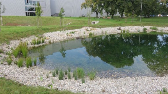 Habitat per flora e fauna